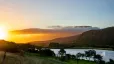 Fleckvieh Guestfarm