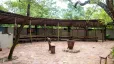Pafuri Rivercamp