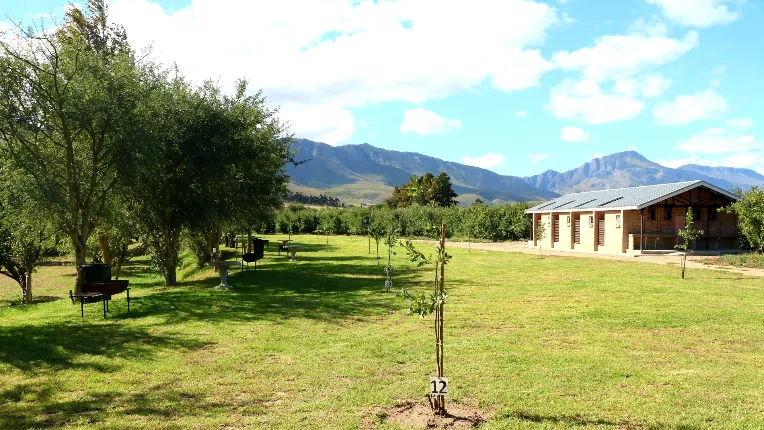 Champagne Camp & Cottage