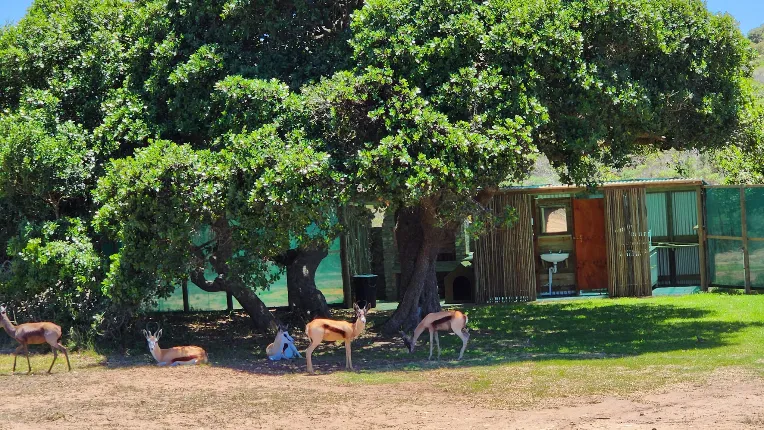 Eden Park Jongensfontein