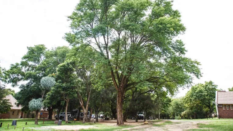 Forever Resort Badplaas