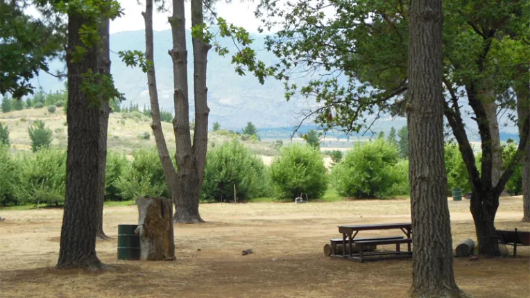 Klondyke Cherry Farm