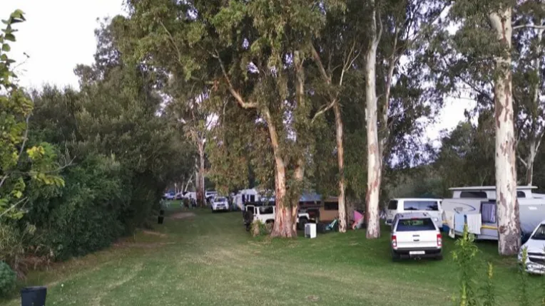 Riggton River Farm Campsite