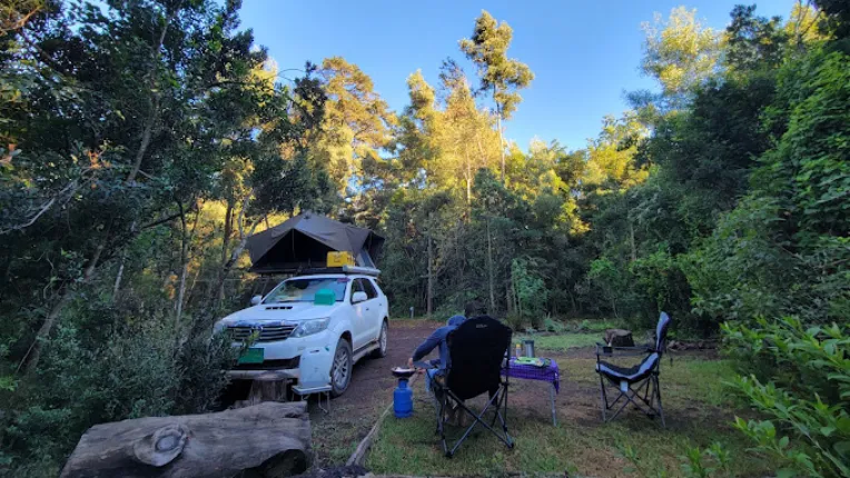 Away with the Fairies