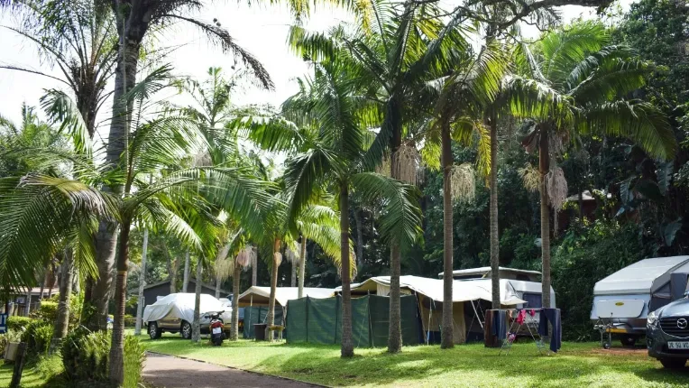 Dolphin Holiday Resort main image