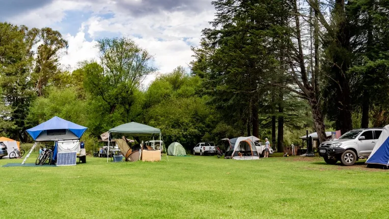 Gooderson Drakensberg Gardens