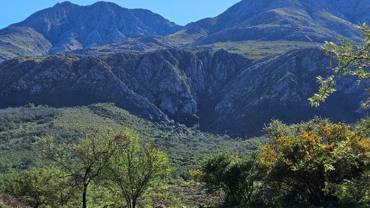 Swartberg Wilds