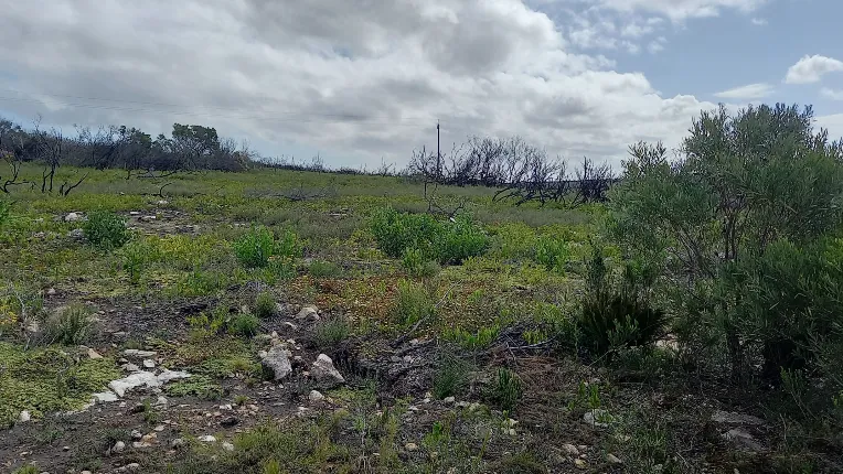 De Necker Family Farm