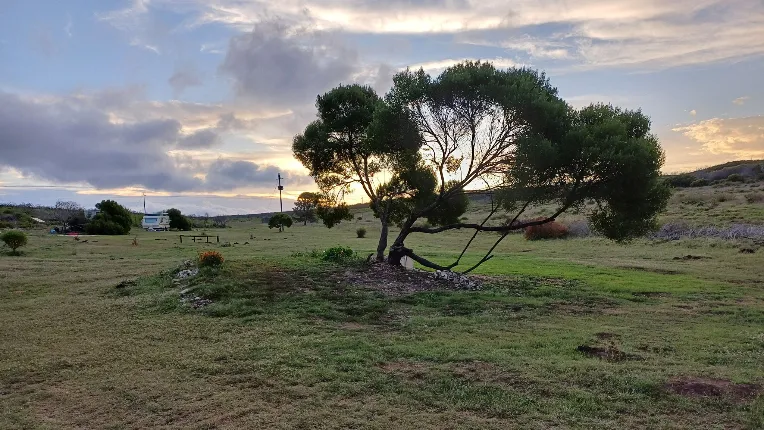 De Necker Family Farm