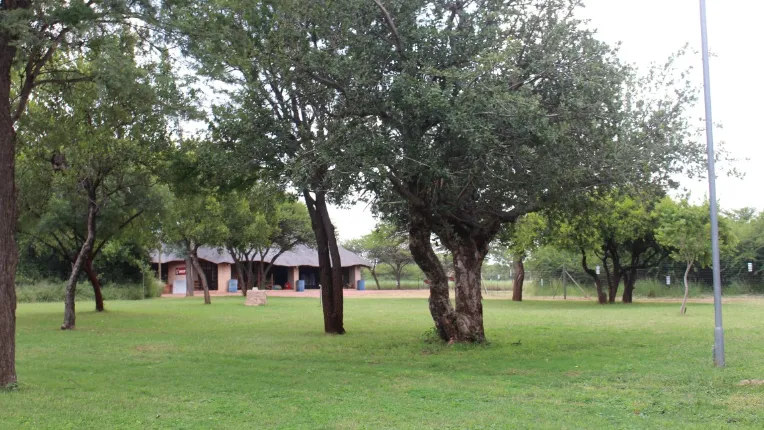 My Bush Camp main image