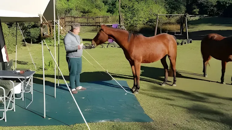 Riverbend Chalets & Campsite