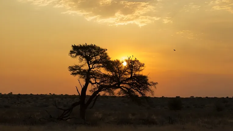 Springbokpan Guest Farm
