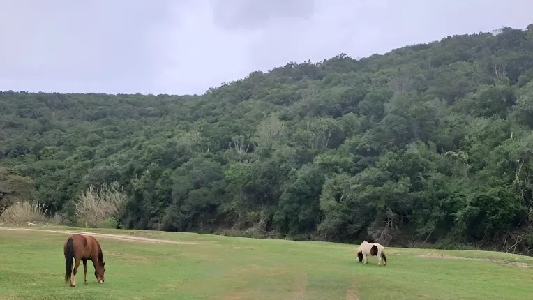 Sleepy Hollow Caravan Park