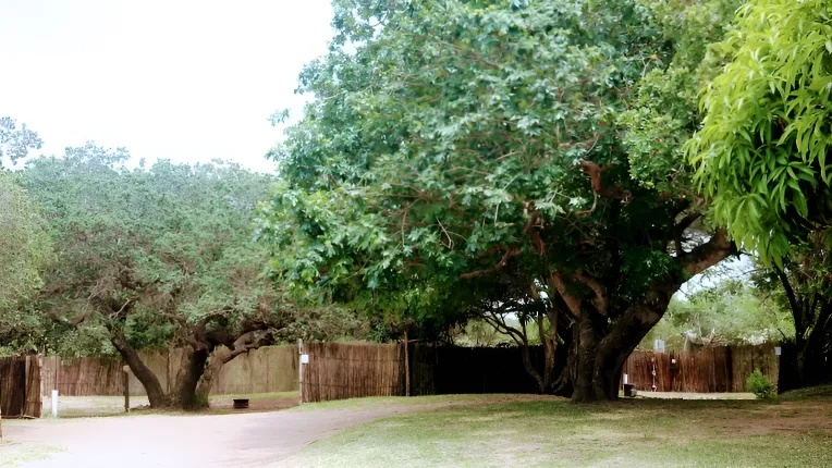 Utshwayelo Kosi Mouth Lodge