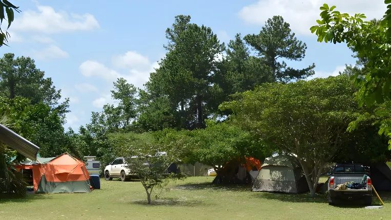 Adventually Bush Camp main image