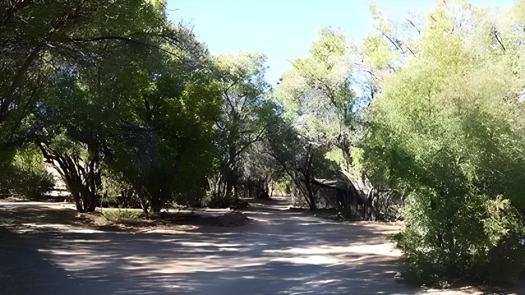 Bankfontein Farm Campsite main image