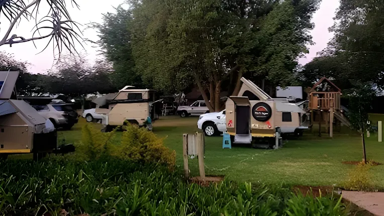 Big Fig Oasis main image