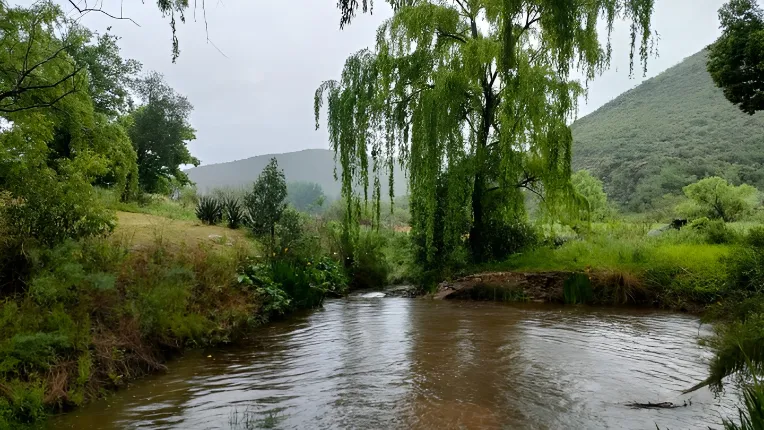 Kruisrivier Guest Farm