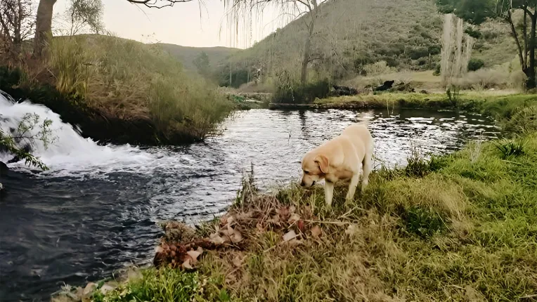 Kruisrivier Guest Farm