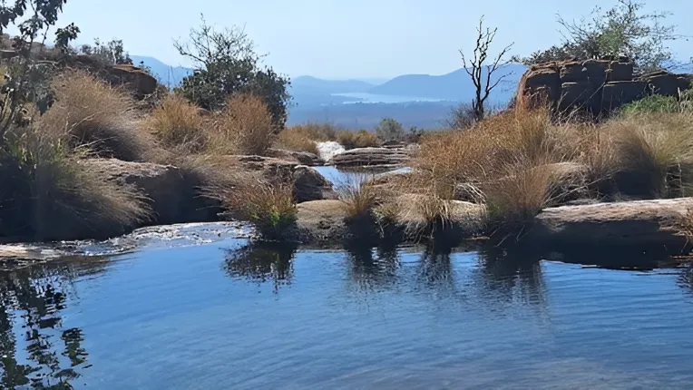 Mountain Sanctuary Park