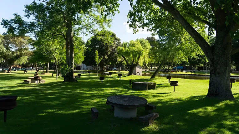 De Hollandsche Molen