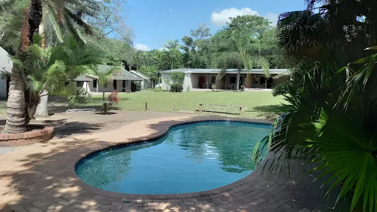 Futululu Forest main image