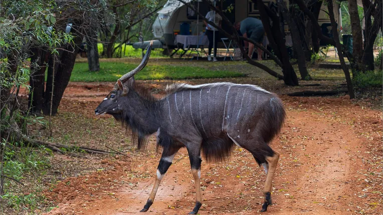 Edenpark Resort Image