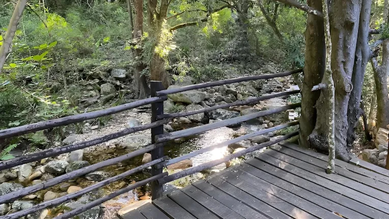 Kudu Kaya Image